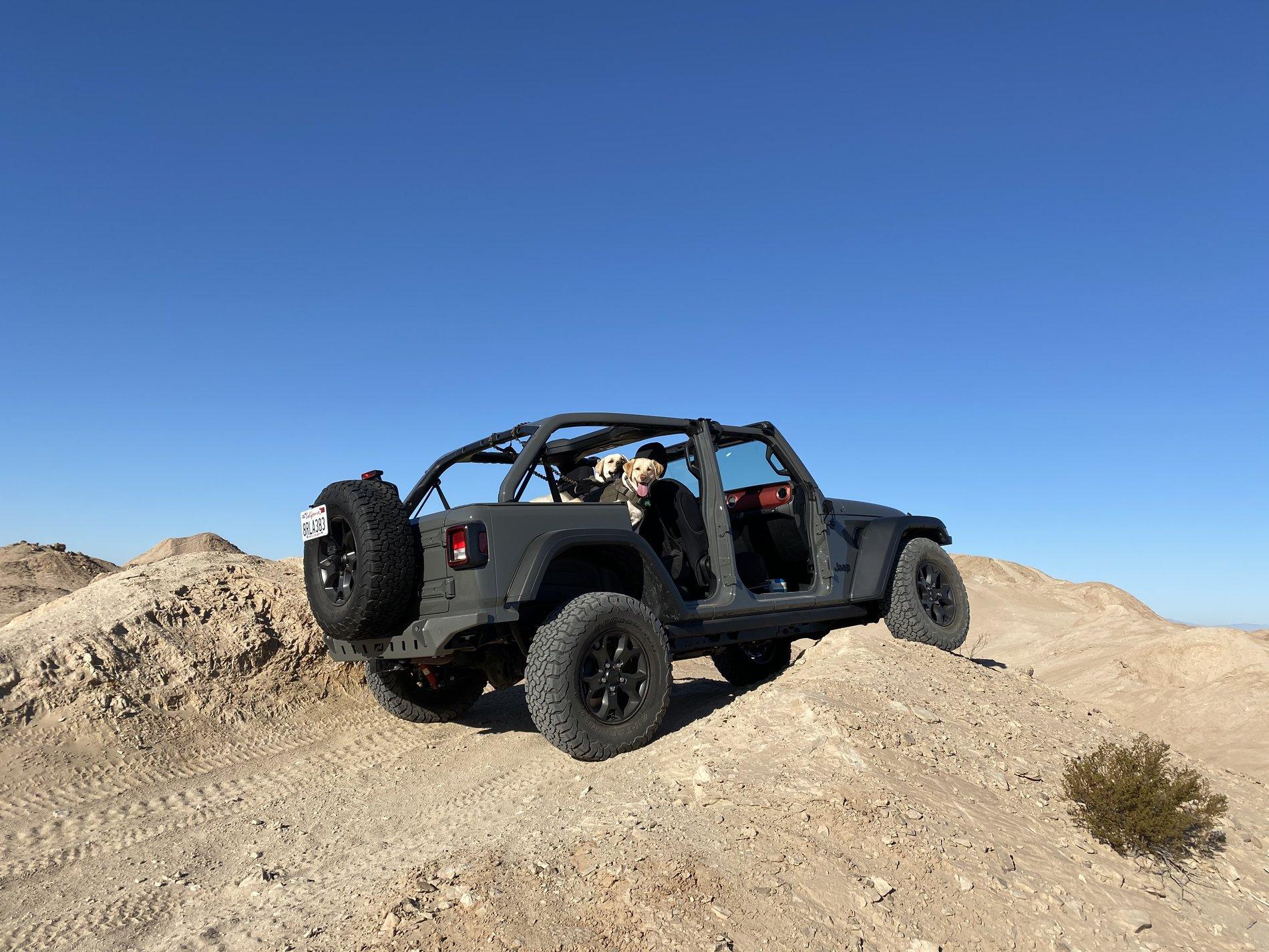 Jeep Wrangler JL Jeep Dog pics 273FBFF4-9179-4E18-BE5E-C8B208C75B8C