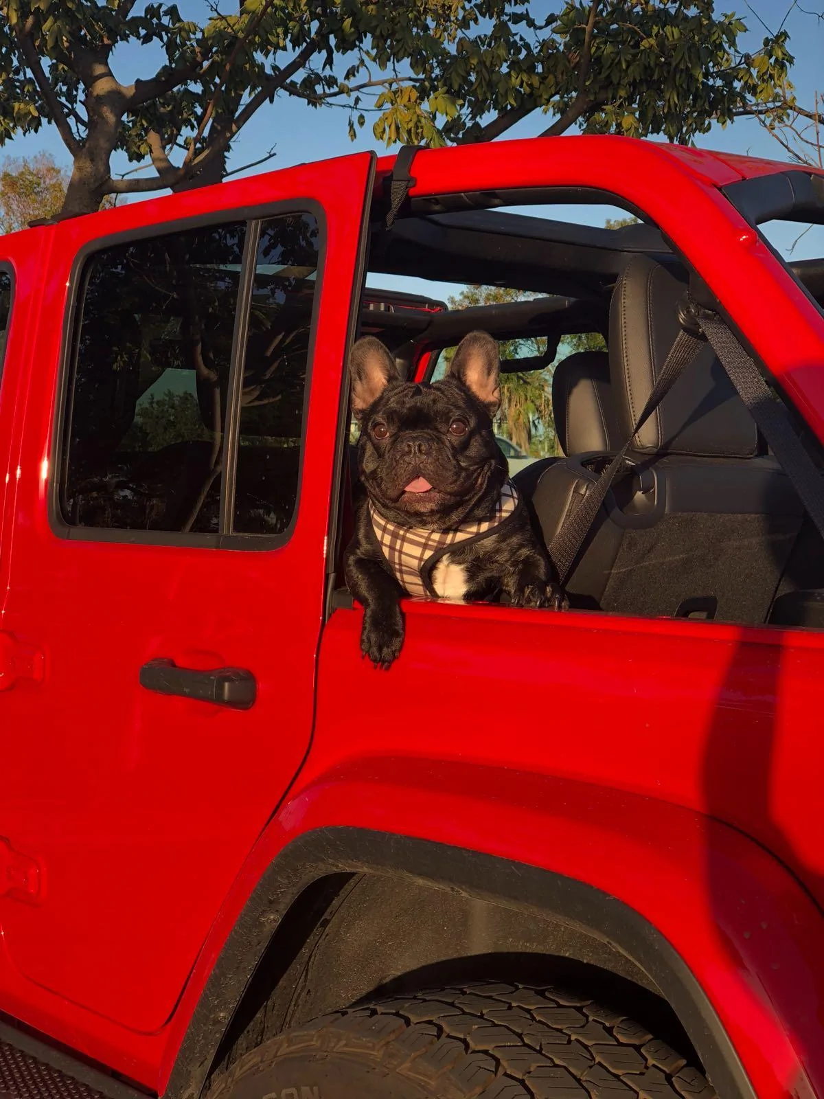 Jeep Wrangler JL What did you do TO your Jeep JL today? 2018-04-30-PHOTO-00038009
