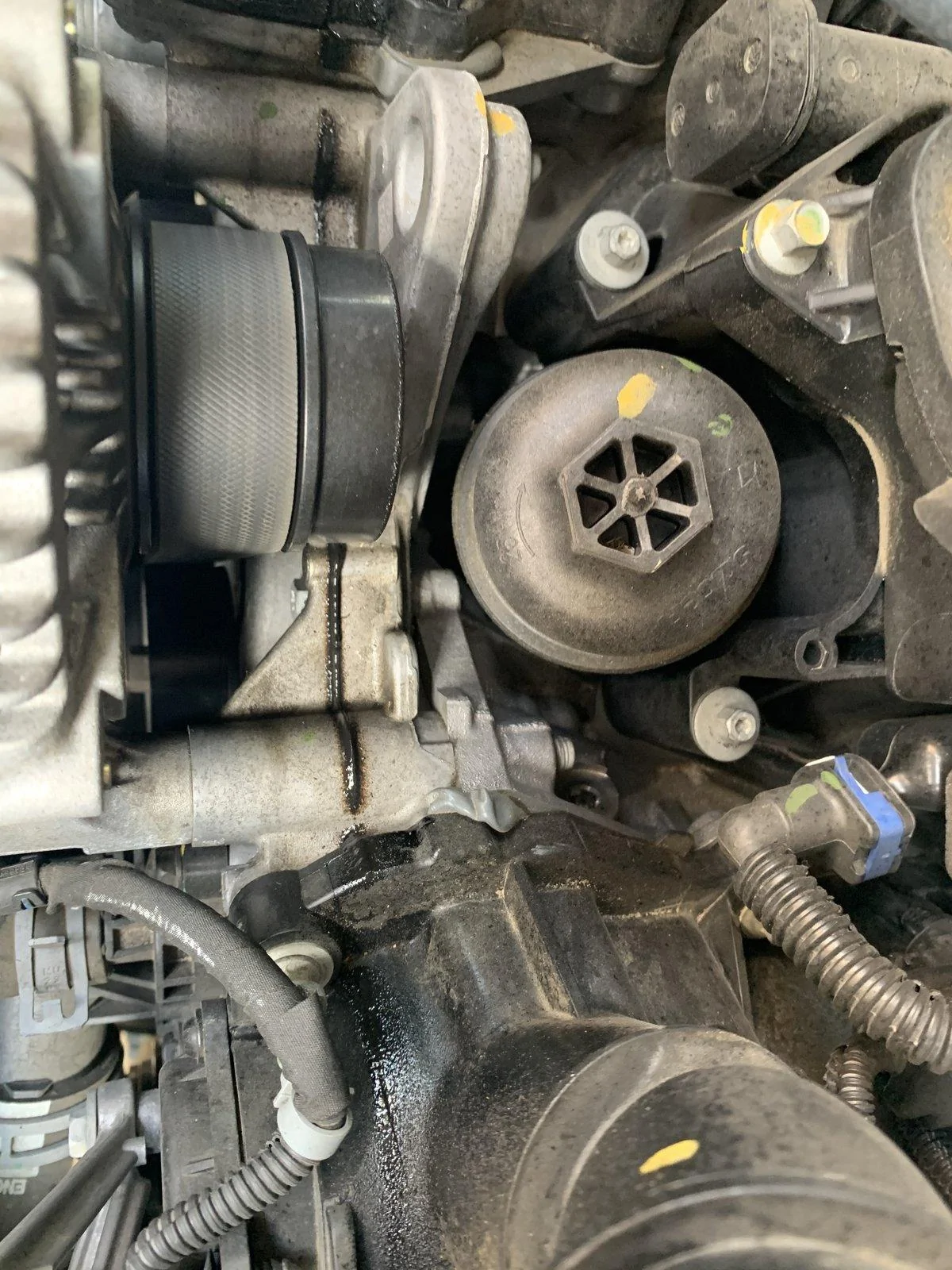 Jeep Wrangler JL Oil Leak? 3070691B-5493-4004-B34C-75C1928EEEC6