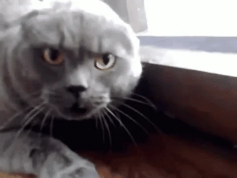 1603379320635.png