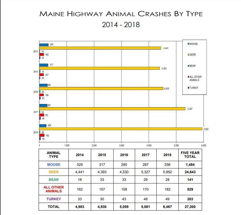 Jeep Wrangler JL Hit a deer doing 70mph :( Animal Strikes, Main