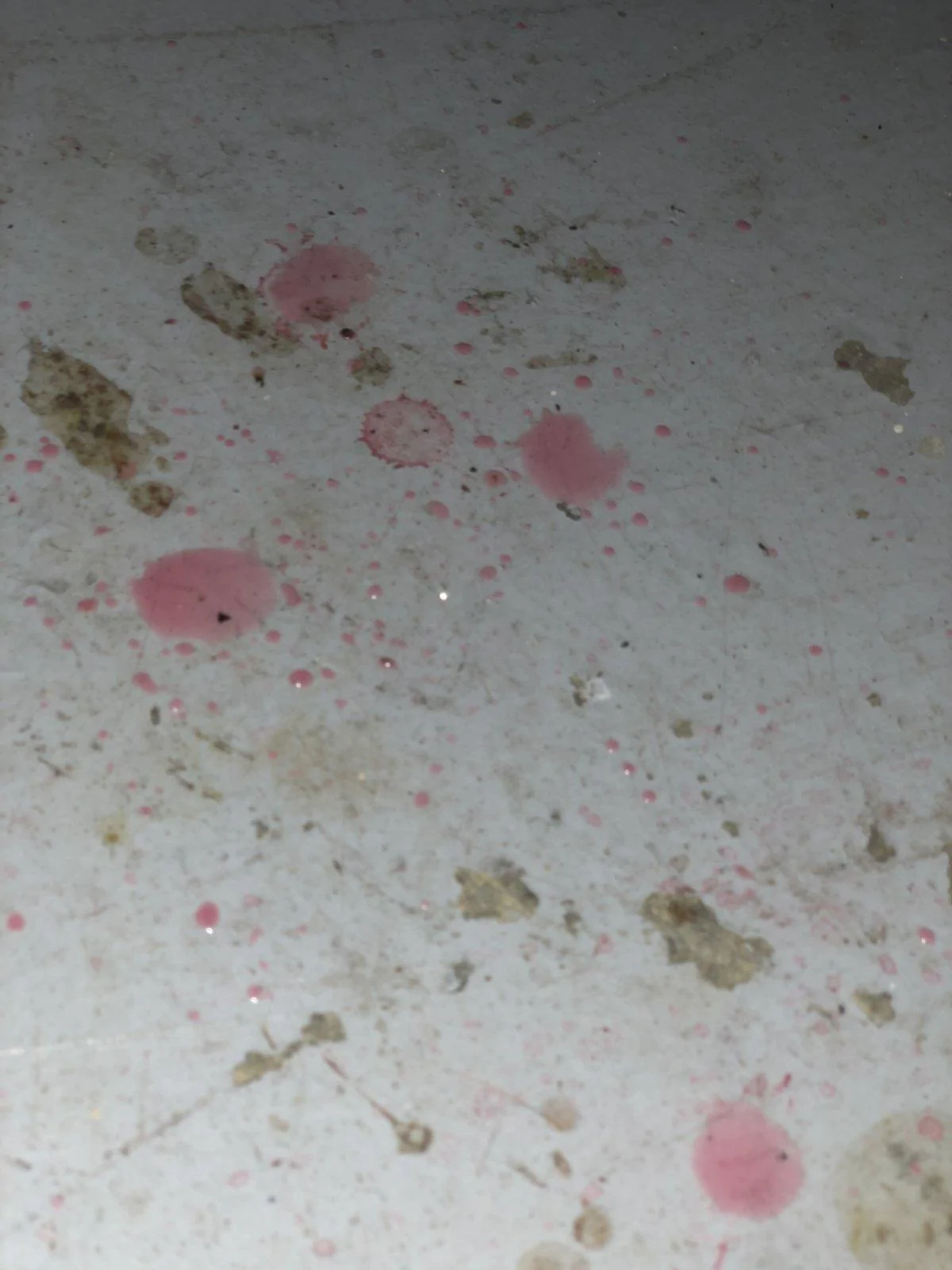 Jeep Wrangler JL 2020 Rubi-Pink fluid leaking A6ABFDCF-7043-4F0A-9999-9E841979EC61