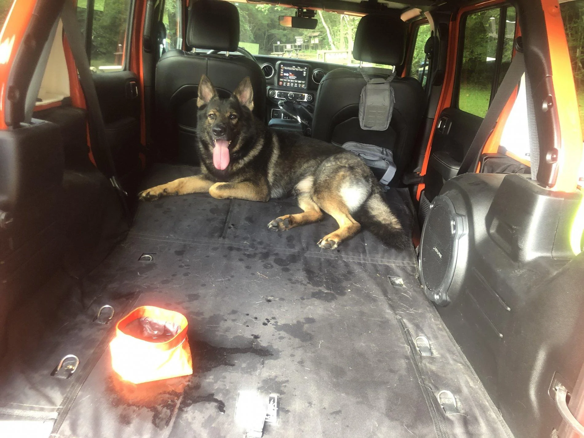 Jeep Wrangler JL Jeep Dog pics 2BB2930B-7543-484F-A371-5FC880C683EB