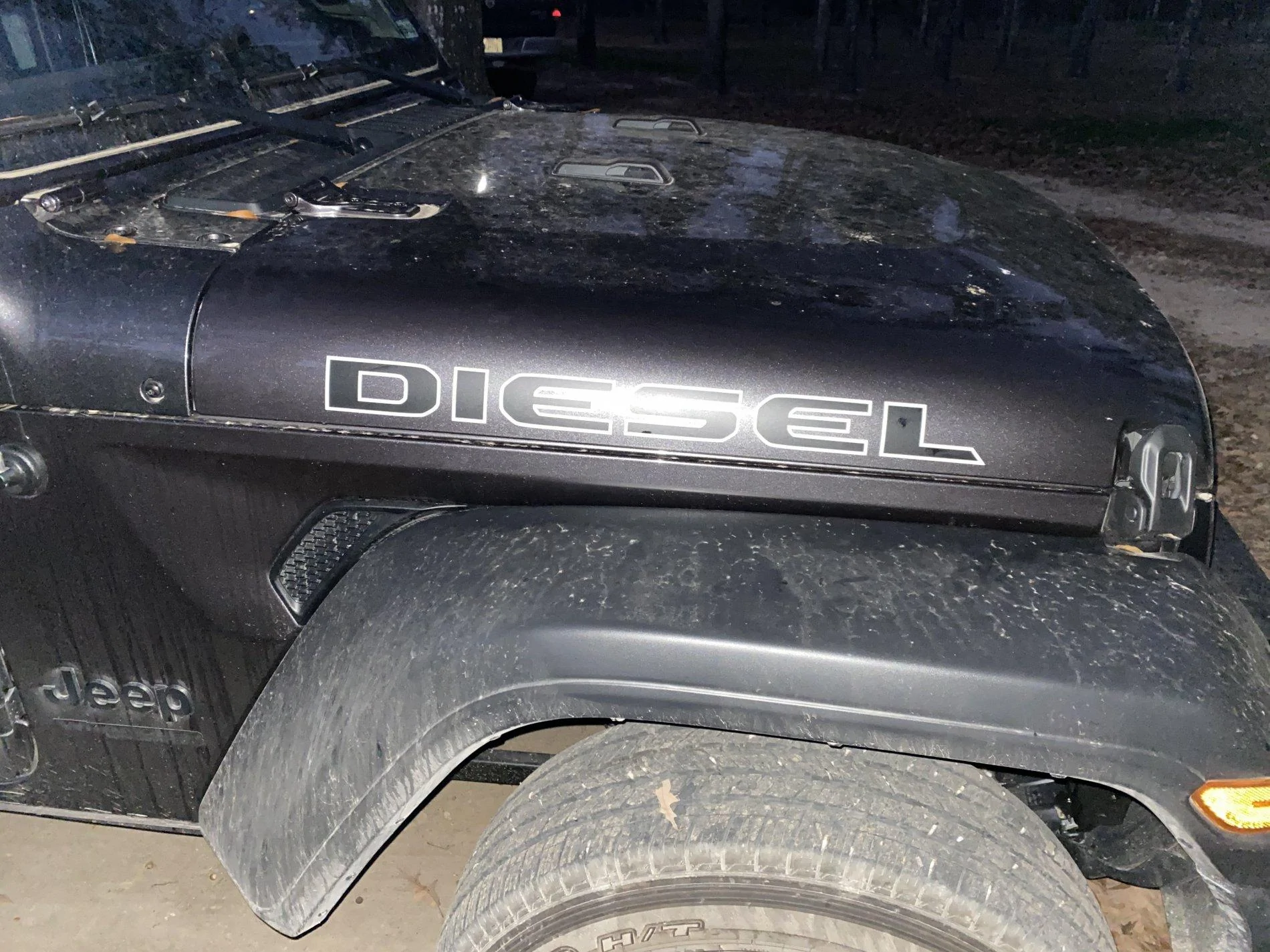 Jeep Wrangler JL 3.0 MODS - Show em off 5734E13A-2F8E-4166-9112-3B317EEC6F71