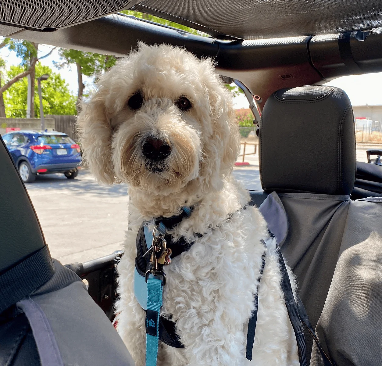 Jeep Wrangler JL I can’t freakin decide! HELP! 1607050311766