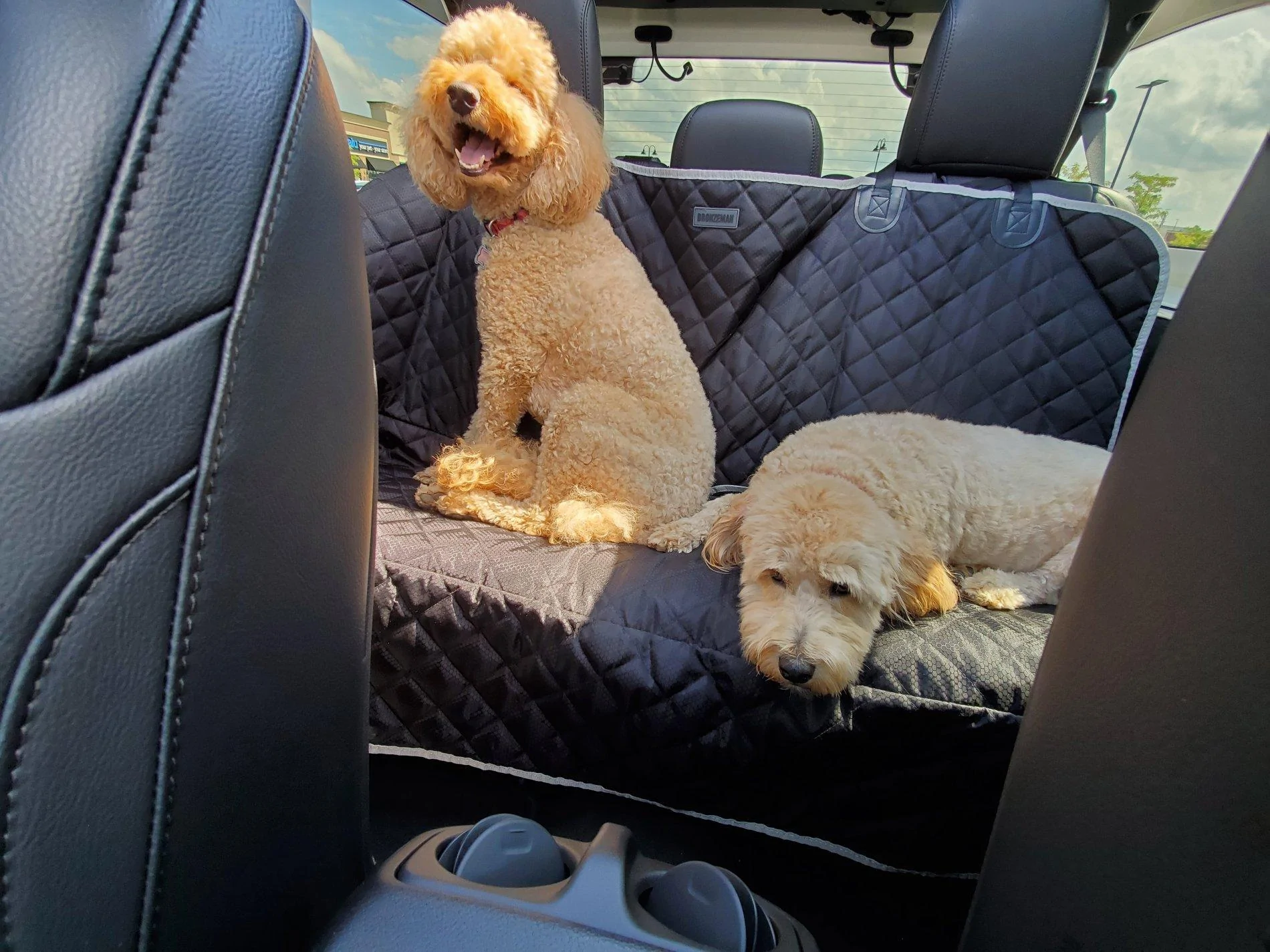Jeep Wrangler JL Jeep Dog pics 20200809_160504