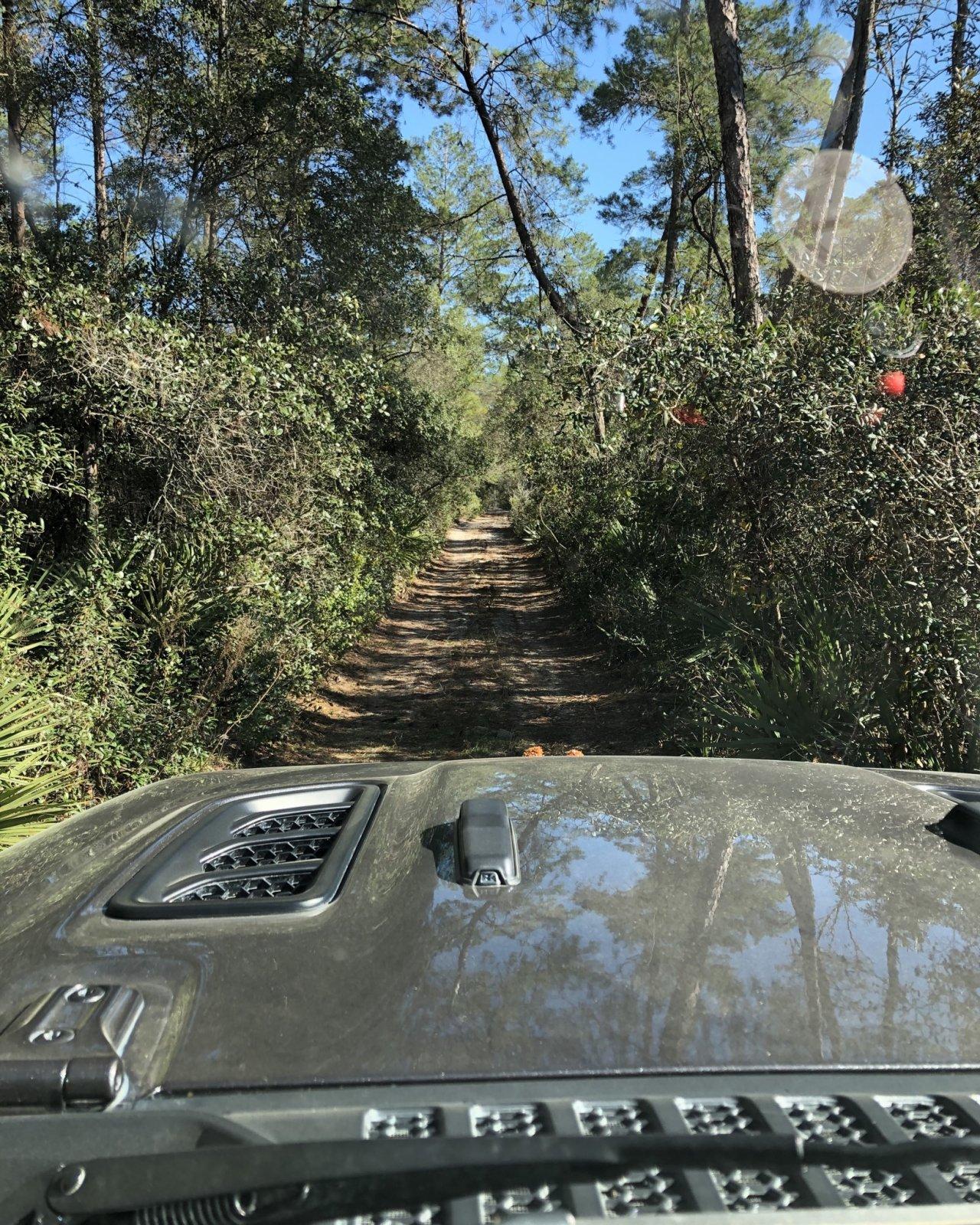 Jeep Wrangler JL Florida Roll Call! 5B35D347-4574-40F5-8118-09F1C2EAB3F9