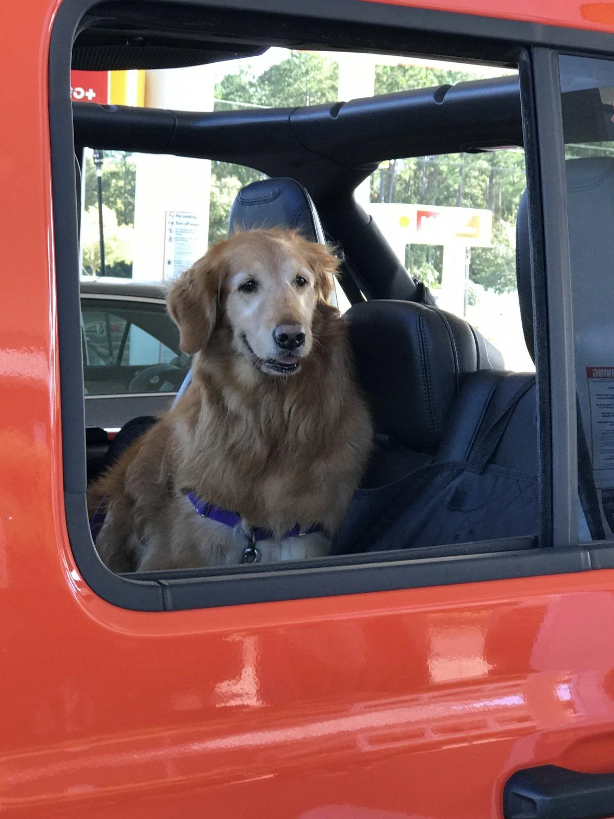 Jeep Wrangler JL Jeep Dog pics 3A879A2F-1CBC-47B3-957B-D7CA08D0217F