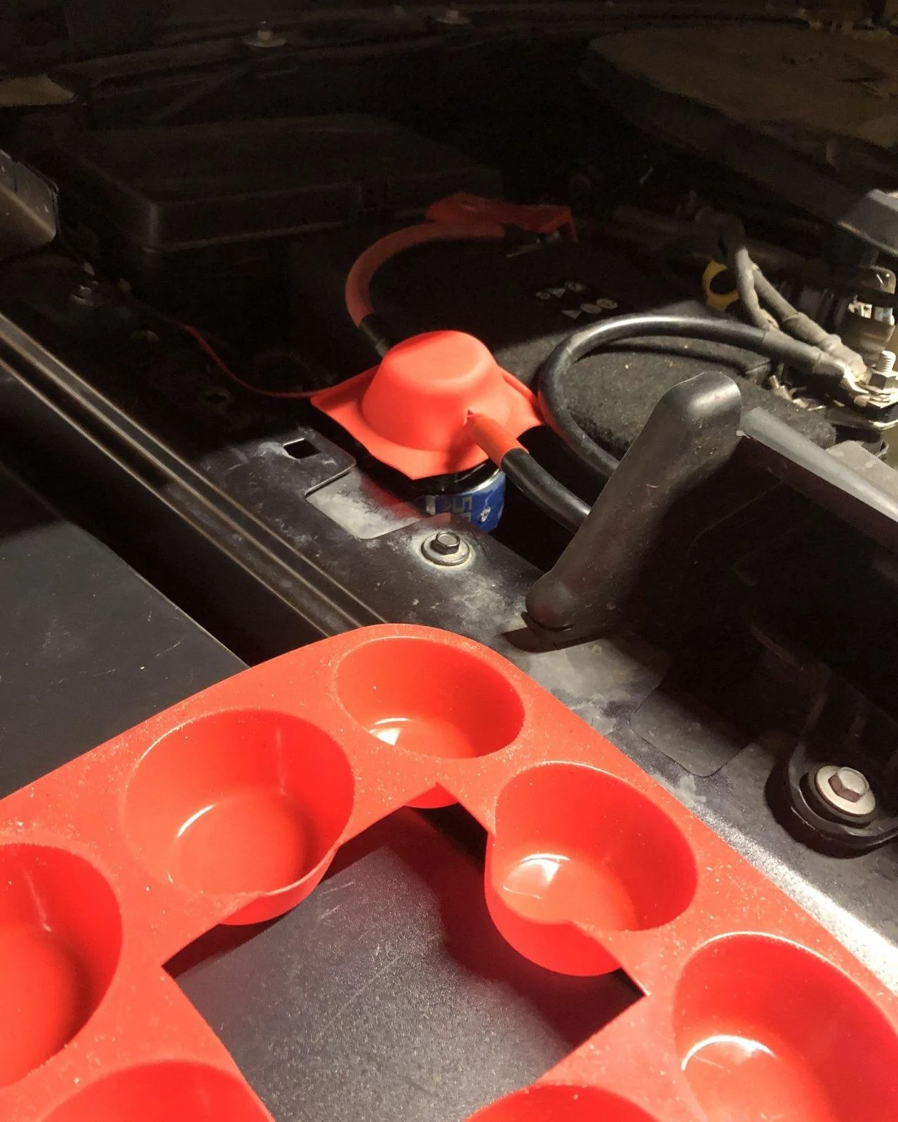 Jeep Wrangler JL Crystal Rubi build… 179A6EE1-88C8-4835-A21C-EDC758C83AA6