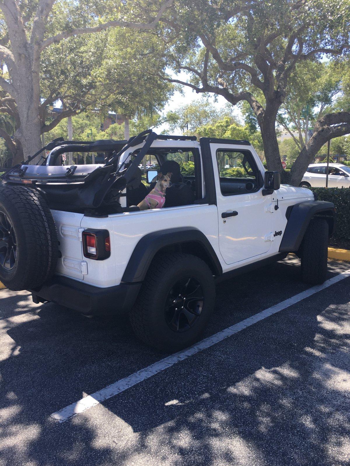 Jeep Wrangler JL Jeep Dog pics IMG_0982