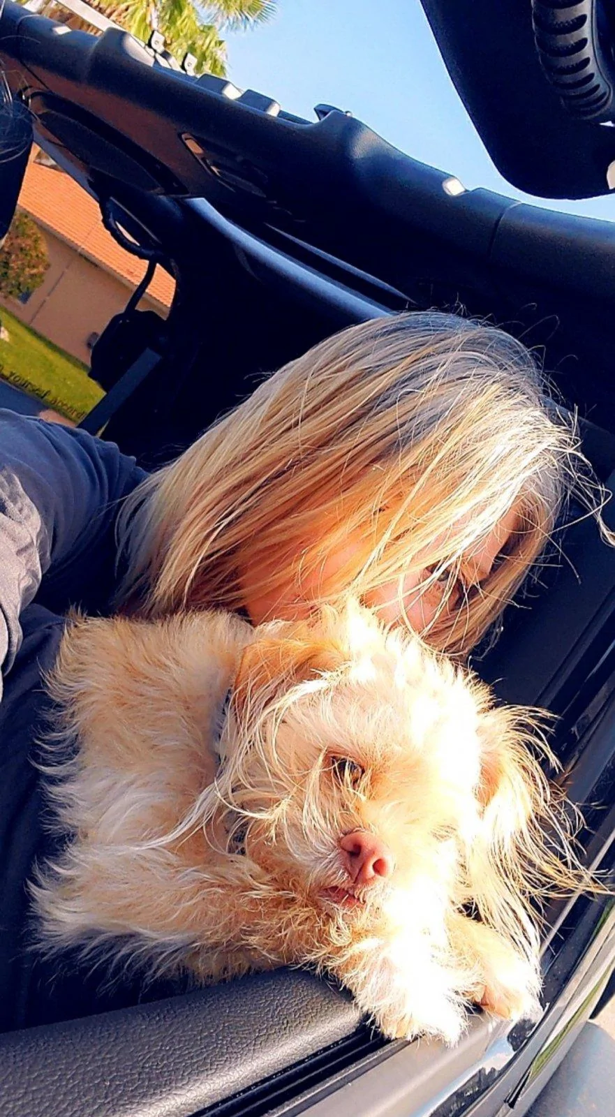 Jeep Wrangler JL Jeep Dog pics 20201228_085928