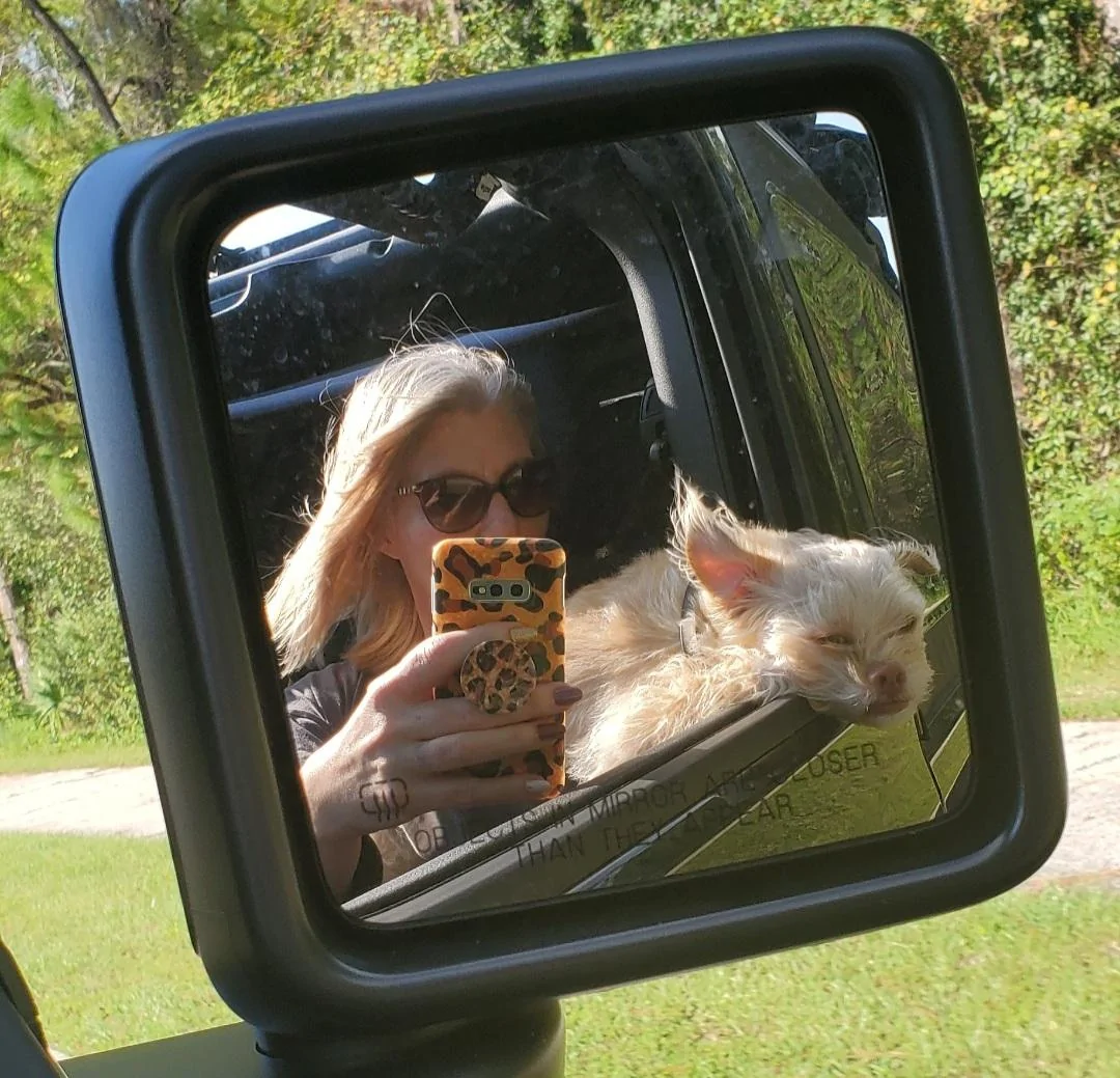Jeep Wrangler JL Jeep Dog pics 20201228_090939