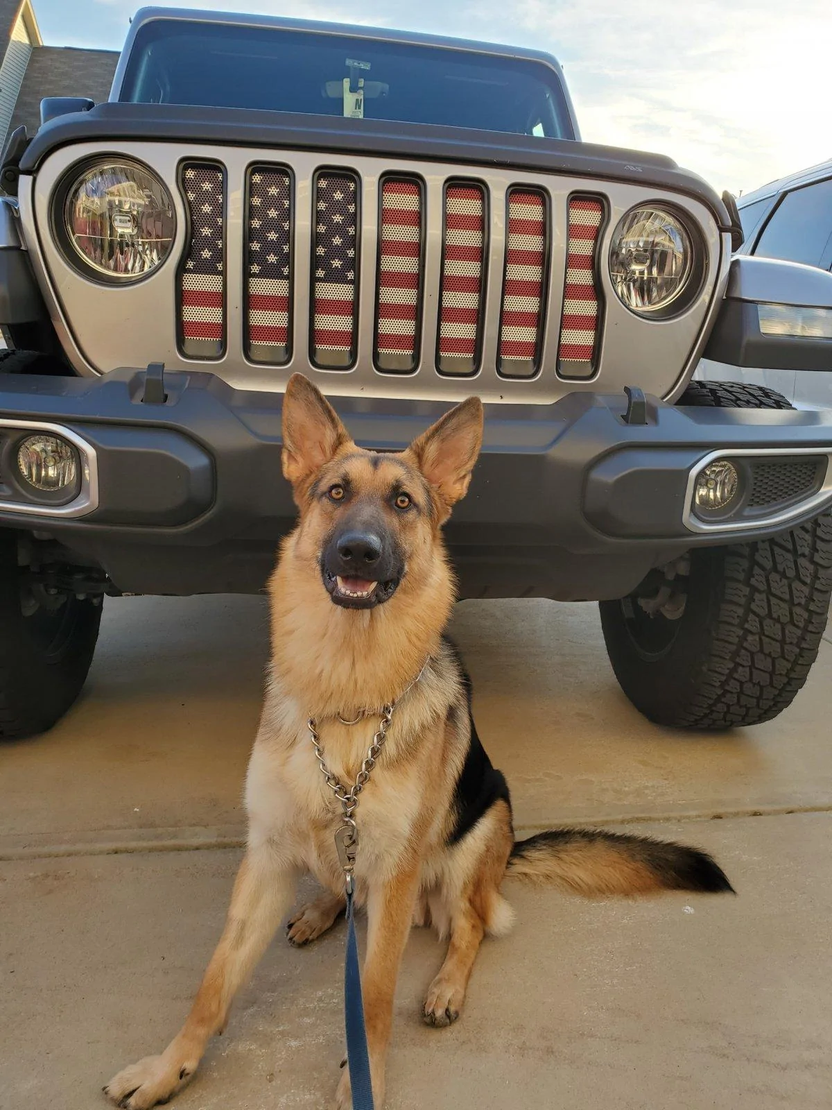 Jeep Wrangler JL Jeep Dog pics Zeke 11-27-2020