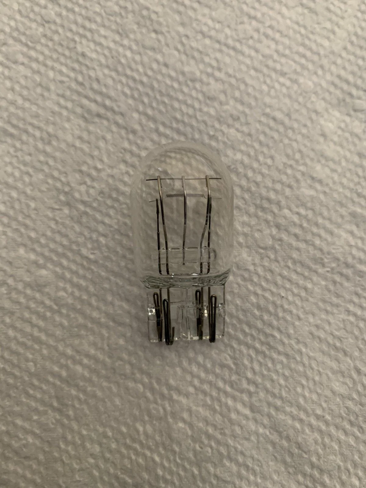 Jeep Wrangler JL LED DRL Bulbs C69AEDF3-136A-40B5-8BE4-AD9F758600FF