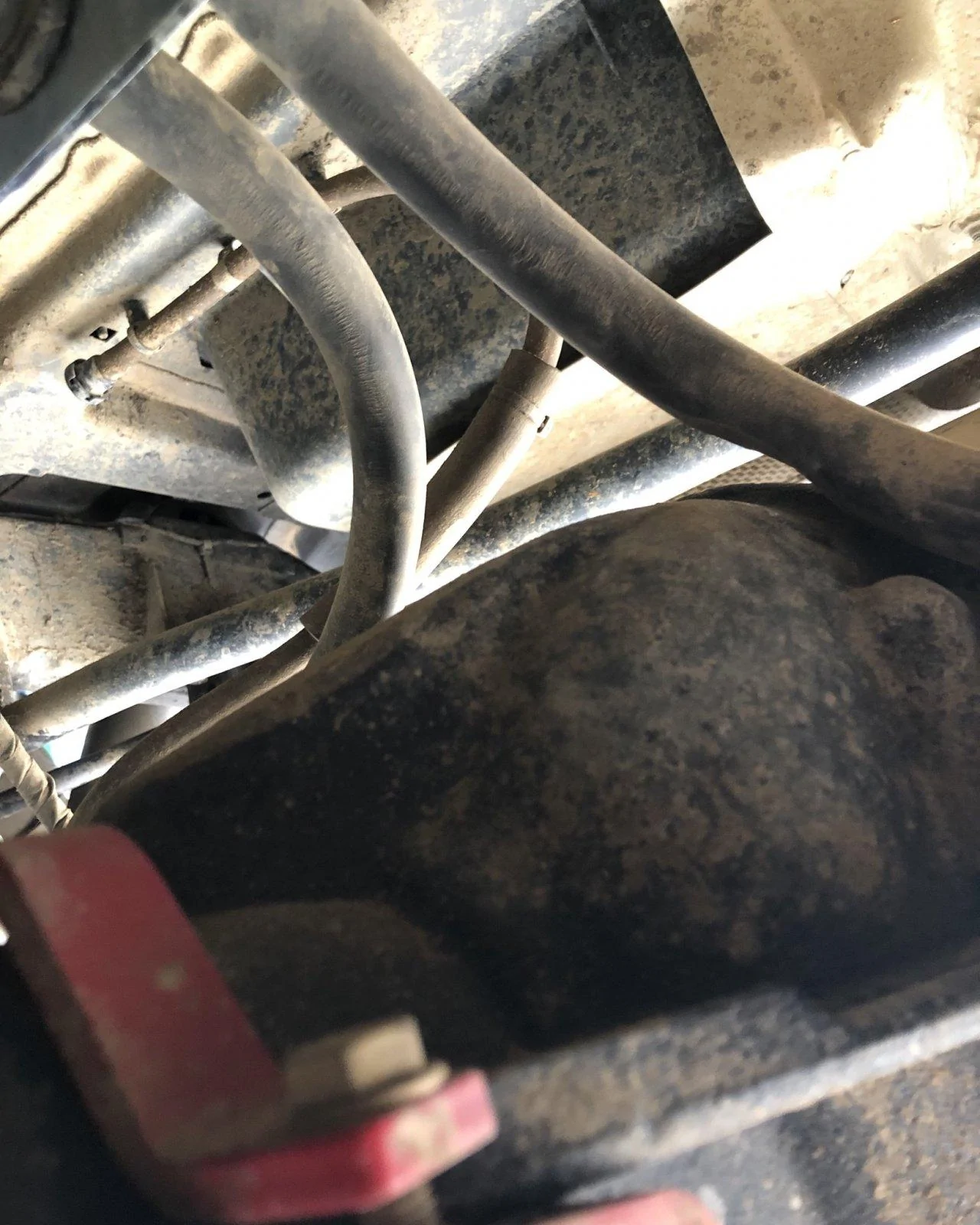 Jeep Wrangler JL Crystal Rubi build… 7EB6DB0E-9F98-49D3-B211-B3C61040525D