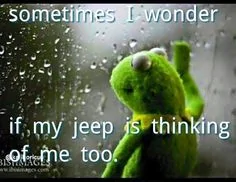 Jeep Wrangler JL Finally got my dream car! gbdhdjch