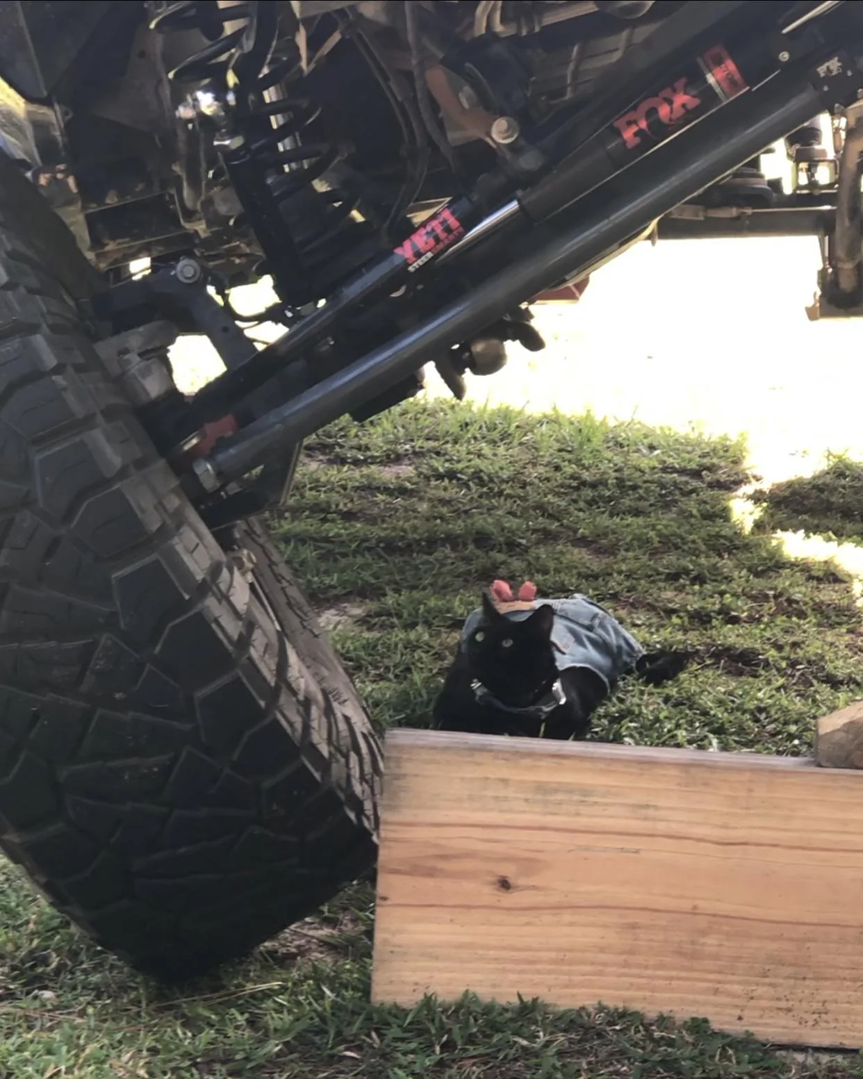 Jeep Wrangler JL Crystal Rubi build… C3CEB7CB-CCCF-442C-A832-D9BCE22474B1