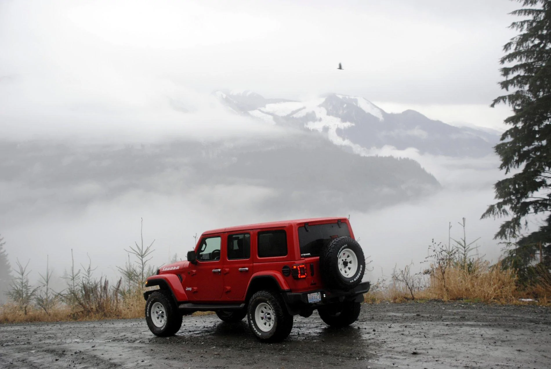 Jeep Wrangler JL What did you do TO your Jeep JL today? 1612279093532
