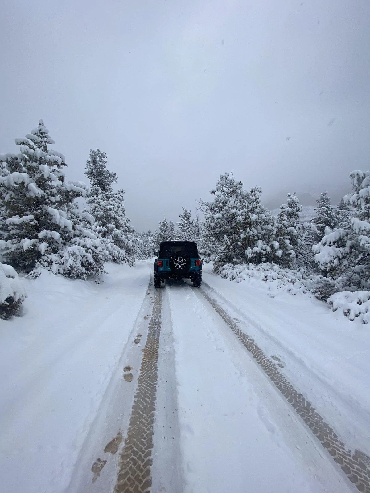 Jeep Wrangler JL Jeeps in Snow... post pics. 43A7648A-0D97-4F3F-B3AC-966FDA569F29