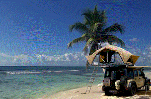 dec07cd010fa8bc42c62ba9277478783.gif