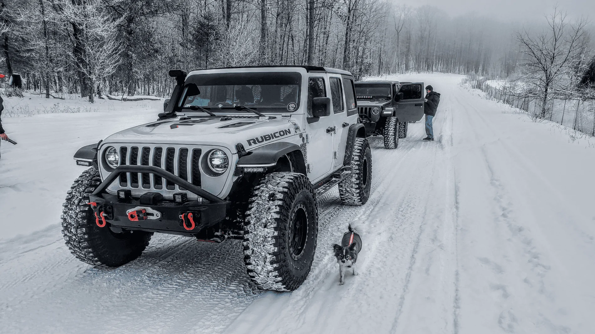 Jeep Wrangler JL I must be getting old... 1613043688204