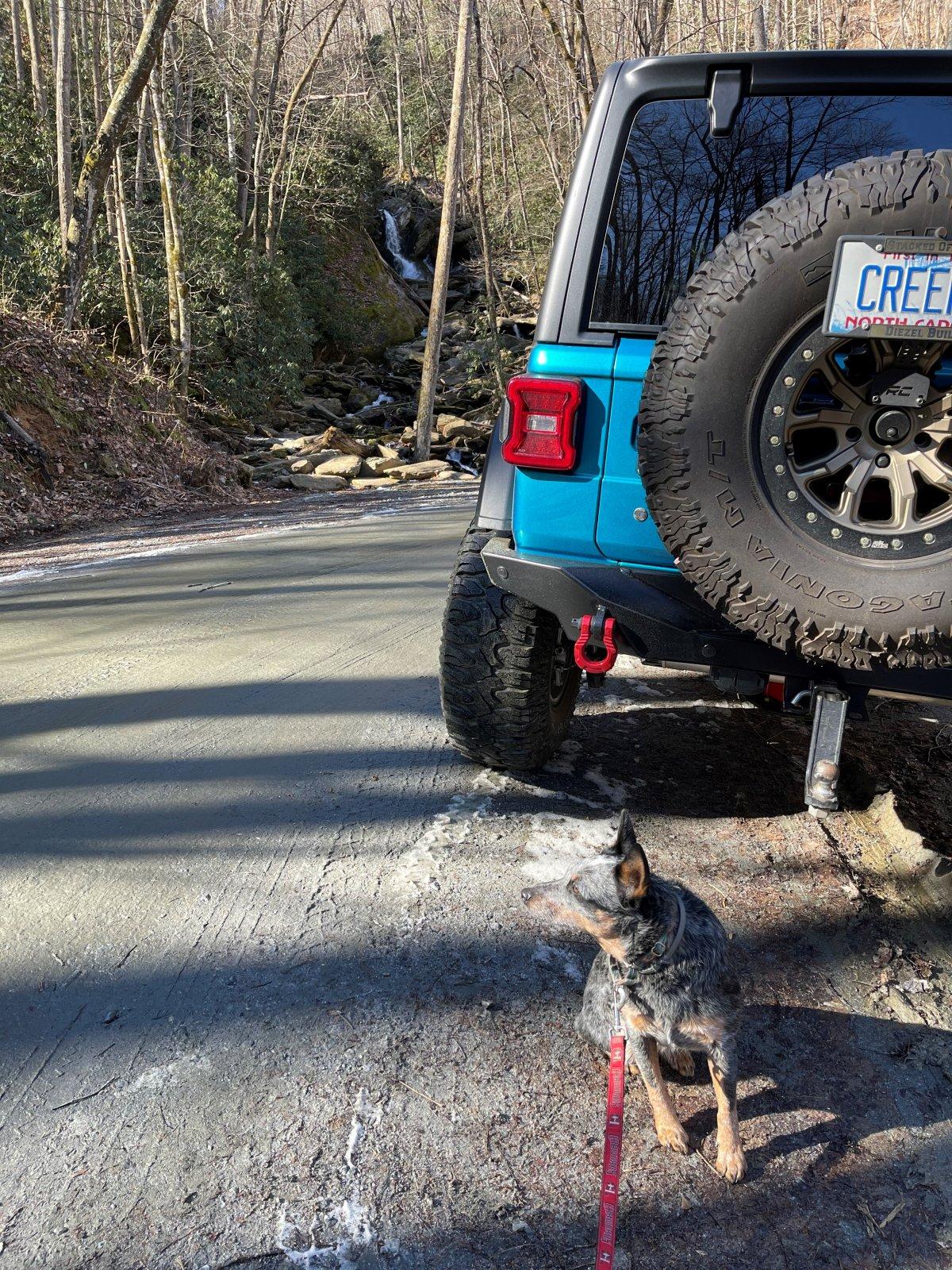 Jeep Wrangler JL Exploring North Carolina WoodRuff Ridge Road