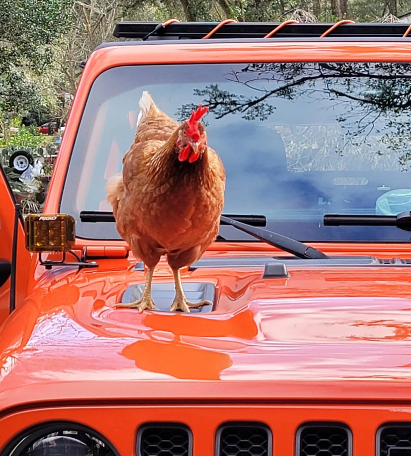 Jeep Wrangler JL Alpine IR LCA Squeak? 20210207_150804