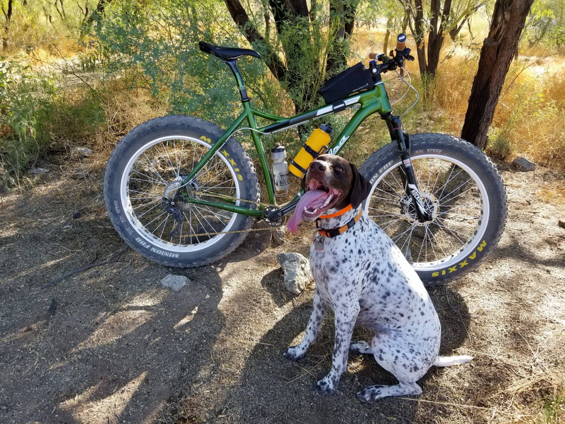 Jeep Wrangler JL Wheeling with (big) dogs 20171024_094441