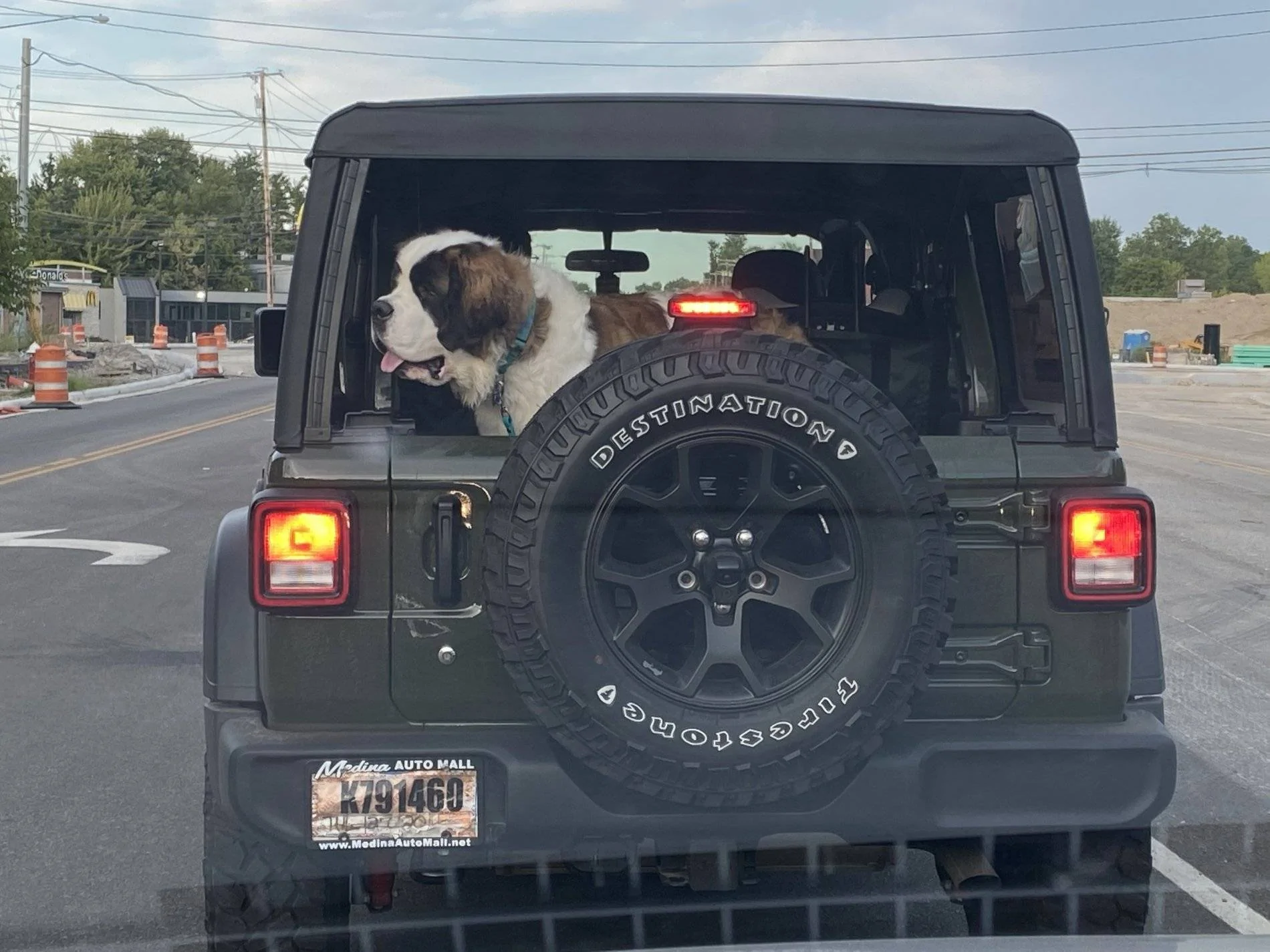 Jeep Wrangler JL Wheeling with (big) dogs 1D9F2CDE-91D8-45BA-AE5C-4C22CFAA4024