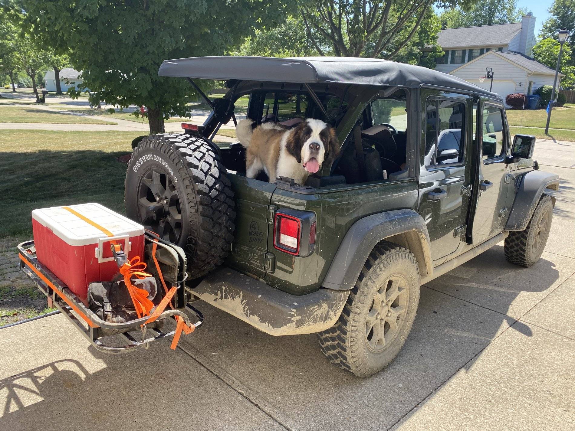 Jeep Wrangler JL Wheeling with (big) dogs F09E8D18-77ED-443C-B252-82D2E606C62E