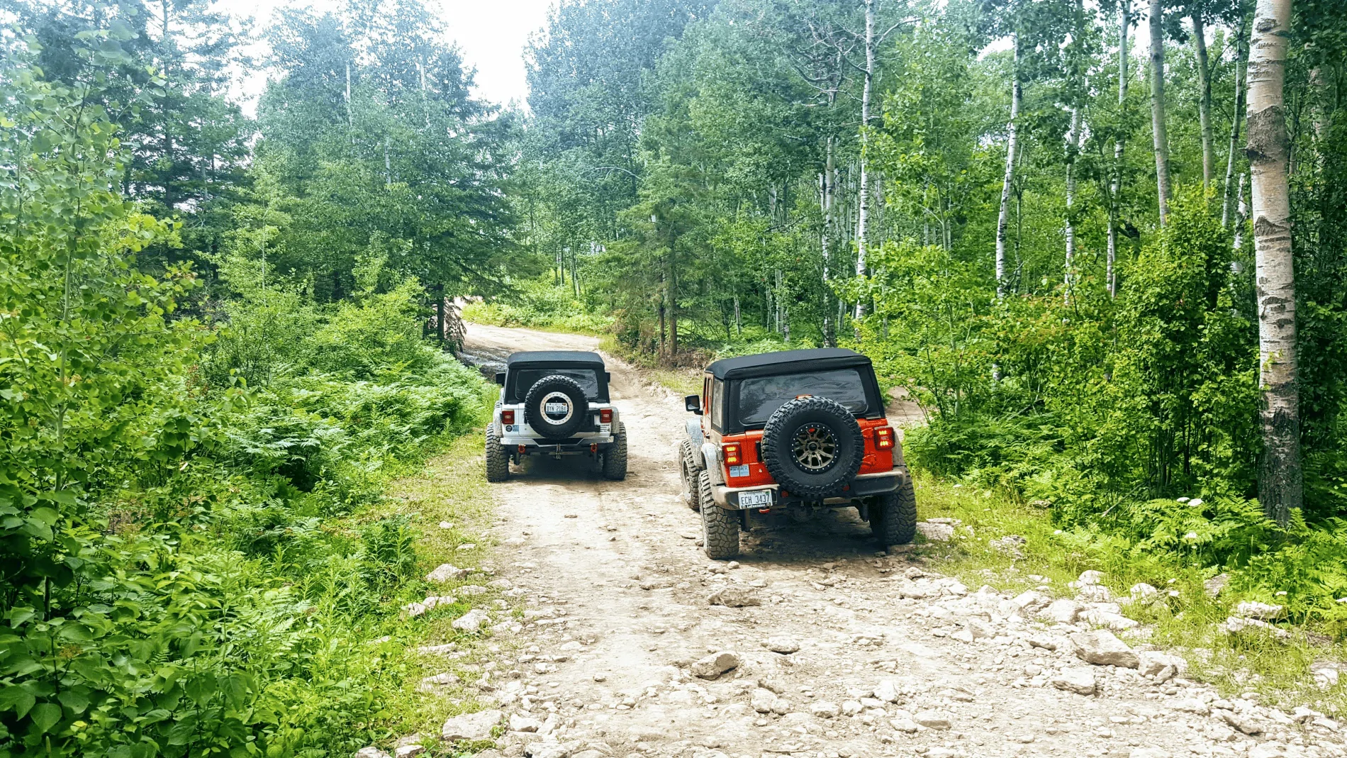 Jeep Wrangler JL Drummond Island 1614011021284