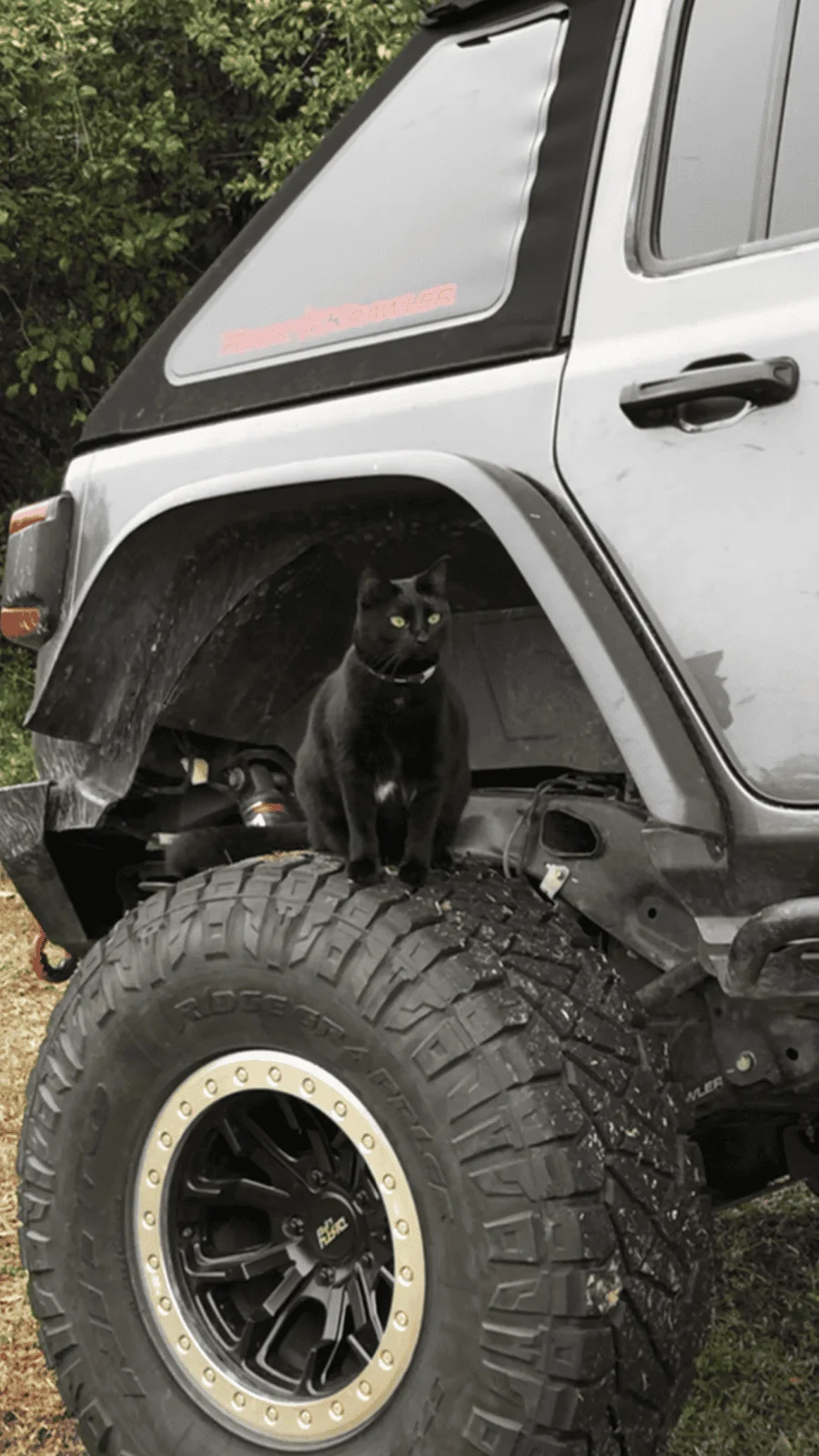 Jeep Wrangler JL Crystal Rubi build… 8B383D85-11B0-42D5-9121-6B3518112F7C