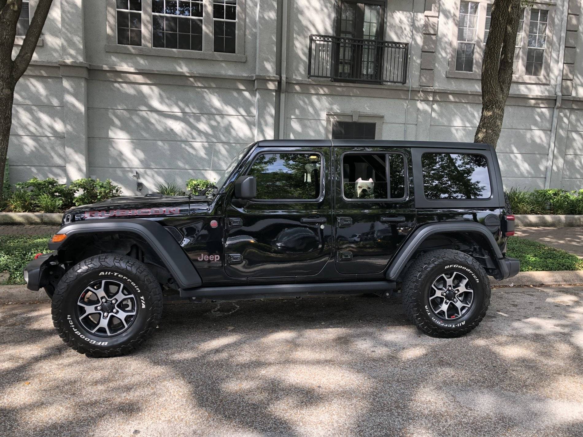 Jeep Wrangler JL Jeep Dog pics 42238C49-0C96-469B-99CC-81C9BCEE76AC