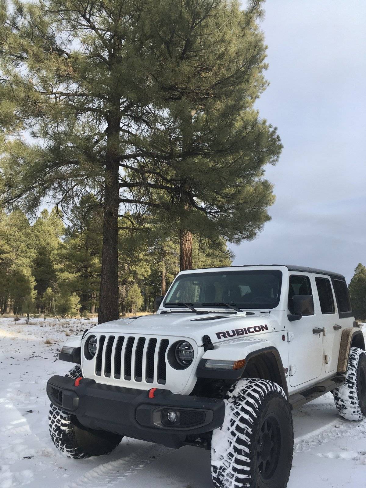 Jeep Wrangler JL Jeeps in Snow... post pics. D131AA77-BF19-4AC1-AAC4-B2C6CEA29249