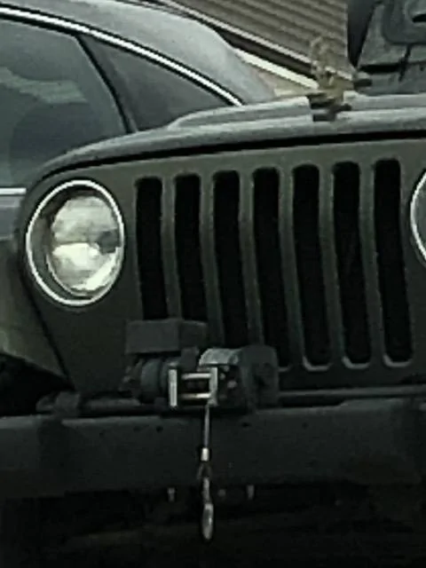 Jeep Wrangler JL That guy 61809420-F9FC-4347-9F25-D83695B8F9C8