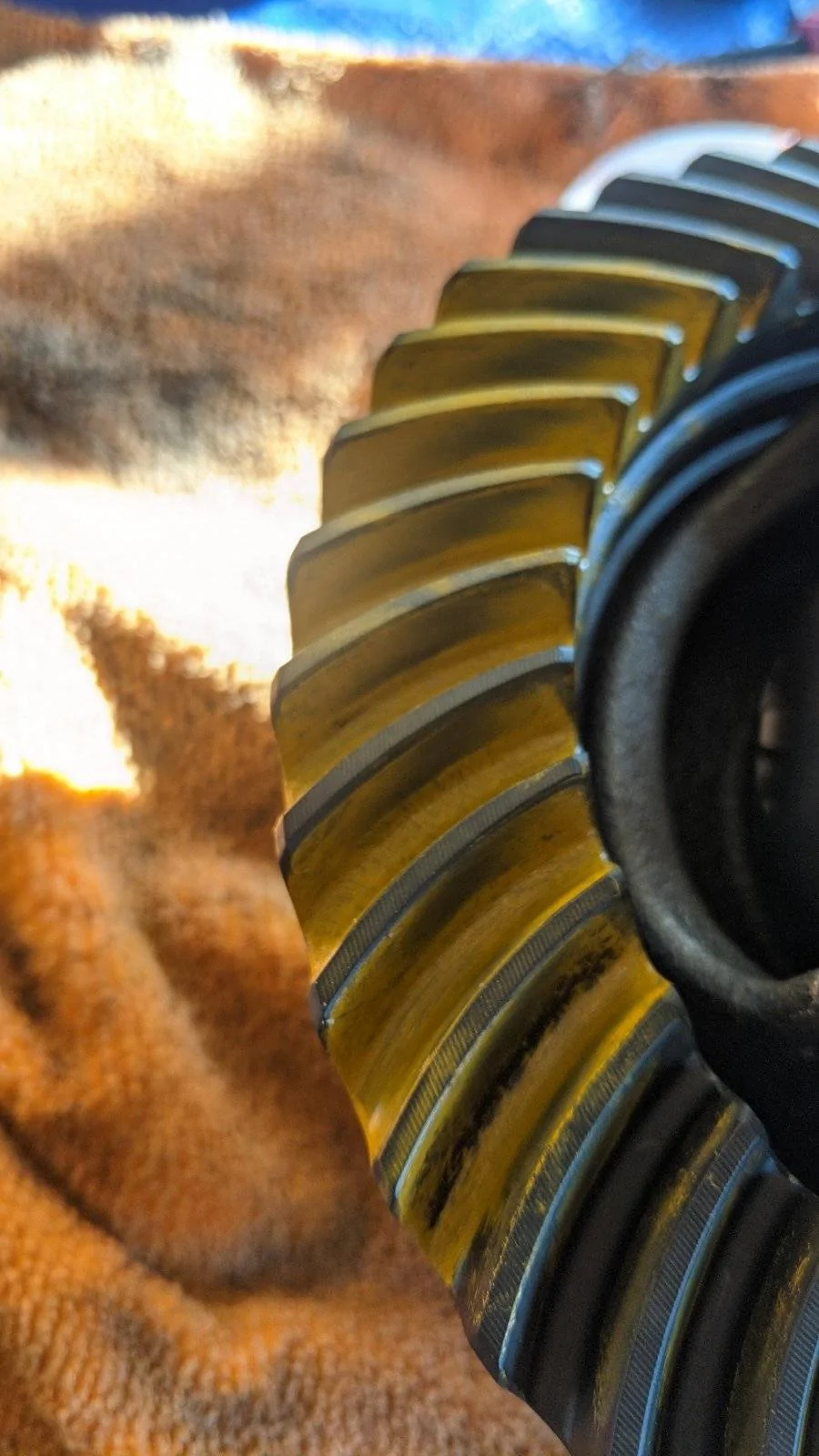 Jeep Wrangler JL Thoughts on initial gear pattern? PXL_20210307_002225897
