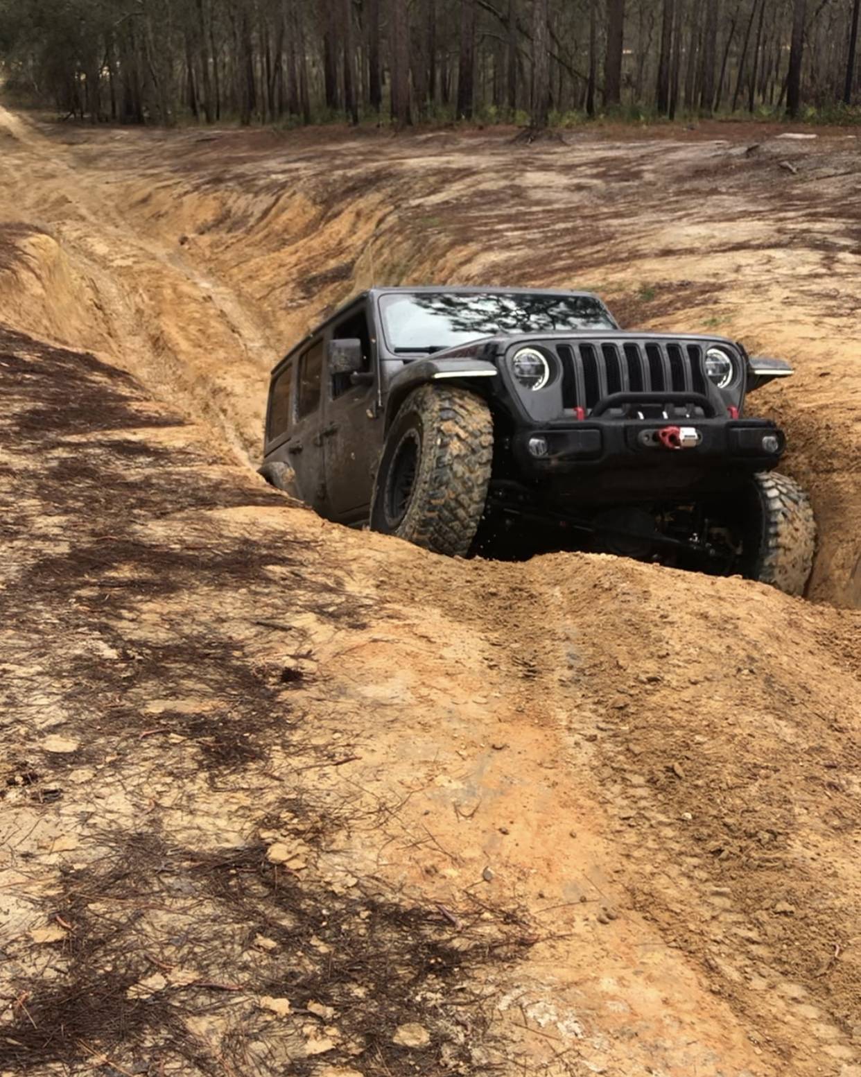 Jeep Wrangler JL Florida Roll Call! CA77785D-ACC5-4B5E-B2B5-3C86AE501D57