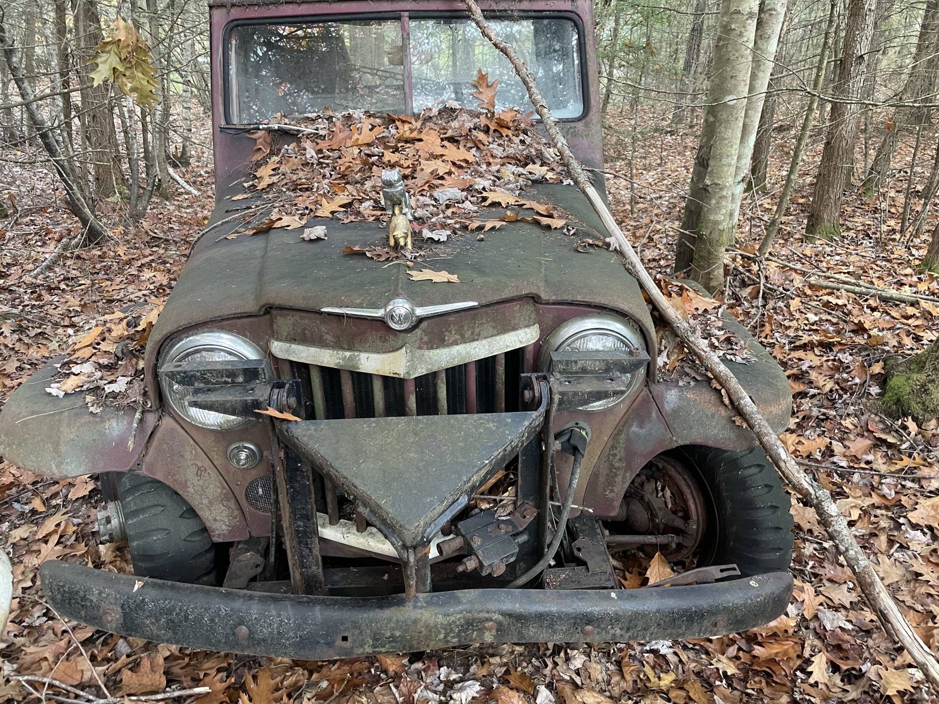 Jeep Wrangler JL What is this? 8893D6CC-93E2-4915-B442-8865D20725D3