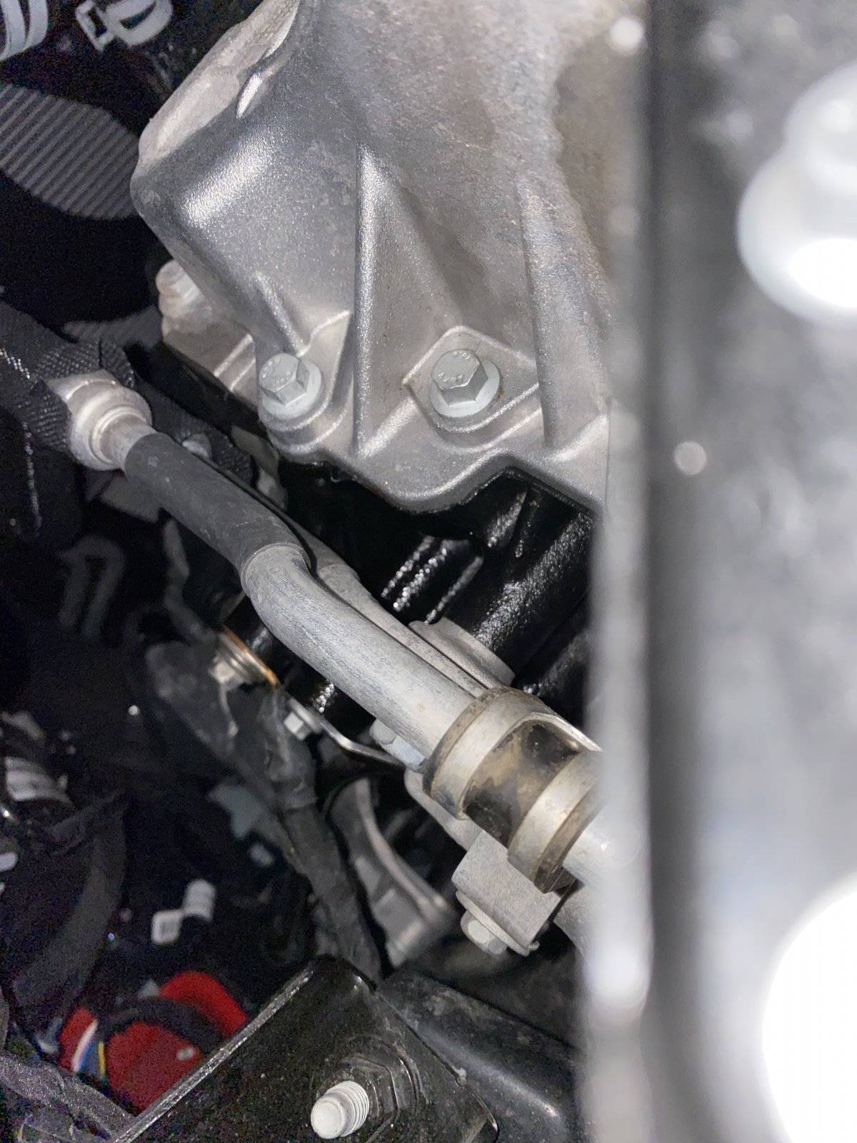 Jeep Wrangler JL Here we go again FFFF0986-F57E-4352-A9ED-C40909251307