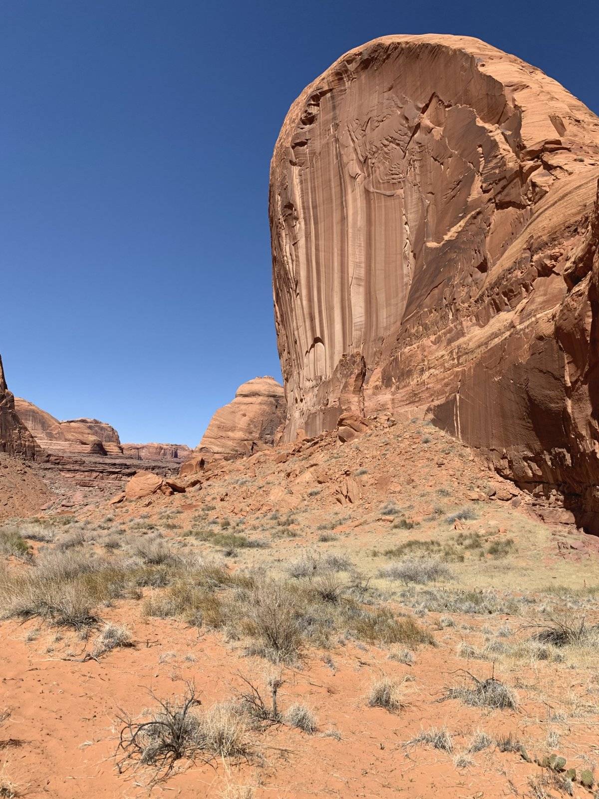 Jeep Wrangler JL Circling Lake Powell C7F3642B-287D-4807-9C25-4B3A2AD9267C