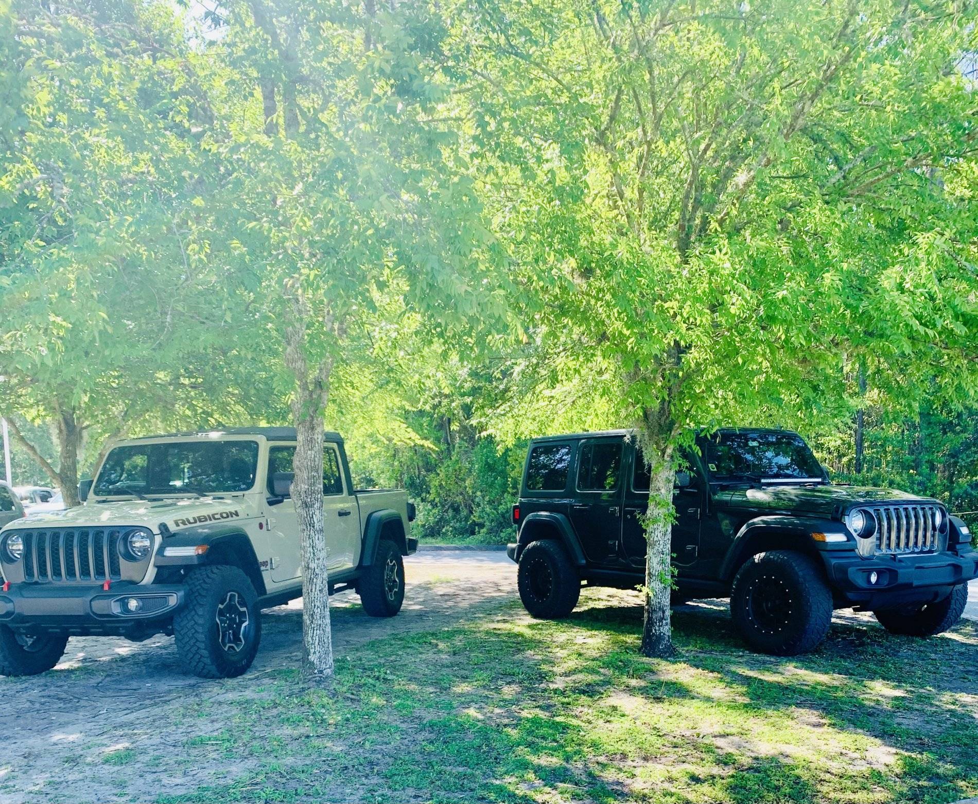 Jeep Wrangler JL Florida Roll Call! 1D768BC0-14F1-4149-B898-E61FEFAFDFEA