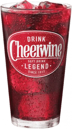 Jeep Wrangler JL Jeep humor waiting room ( ** NO POLITICS ** ) ResizedImage286511-Cheerwine-Tumbler