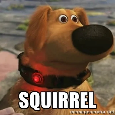Jeep Wrangler JL Second thoughts? squirrel