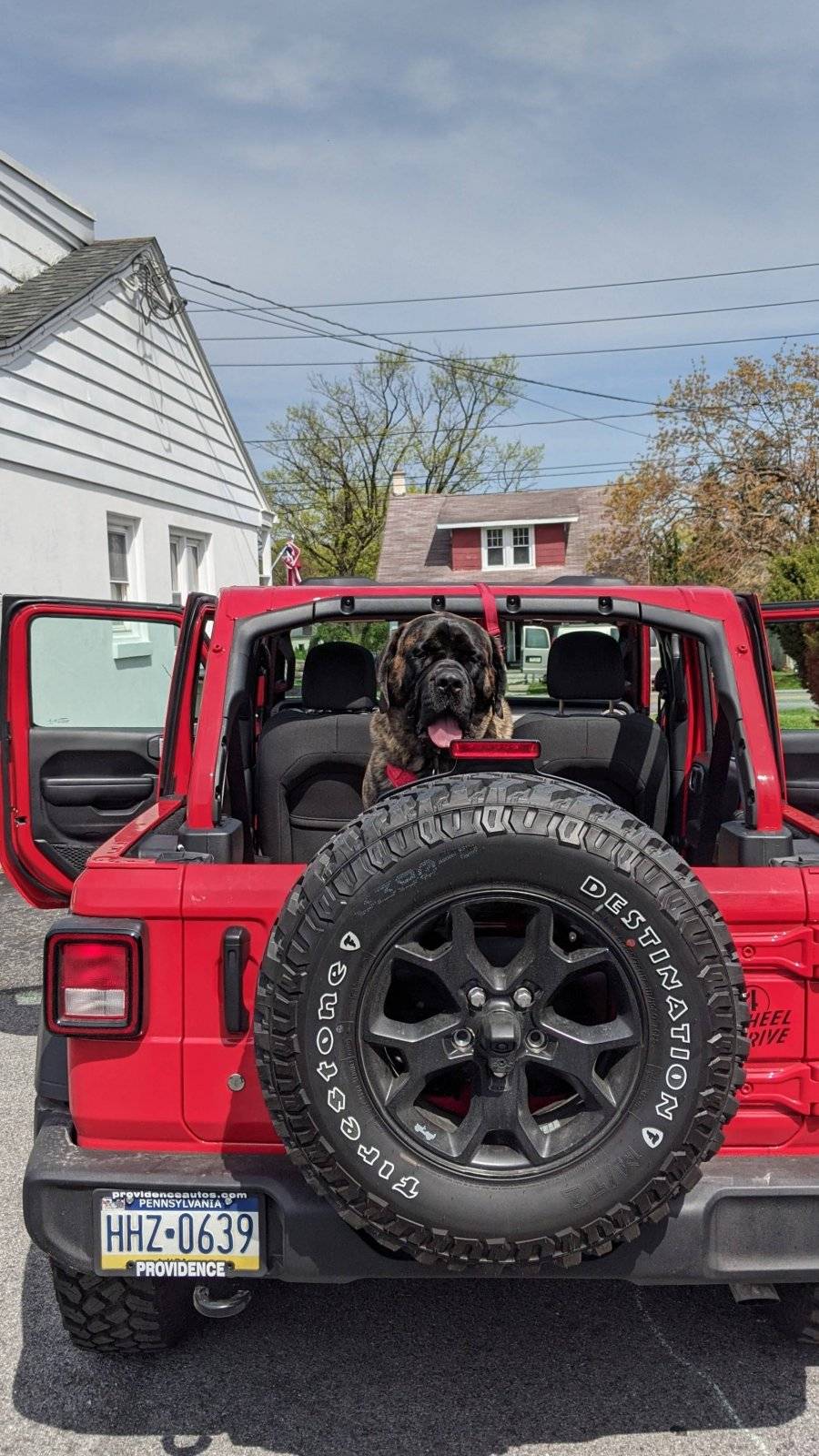 Jeep Wrangler JL Wheeling with (big) dogs PXL_20210420_151644214~2