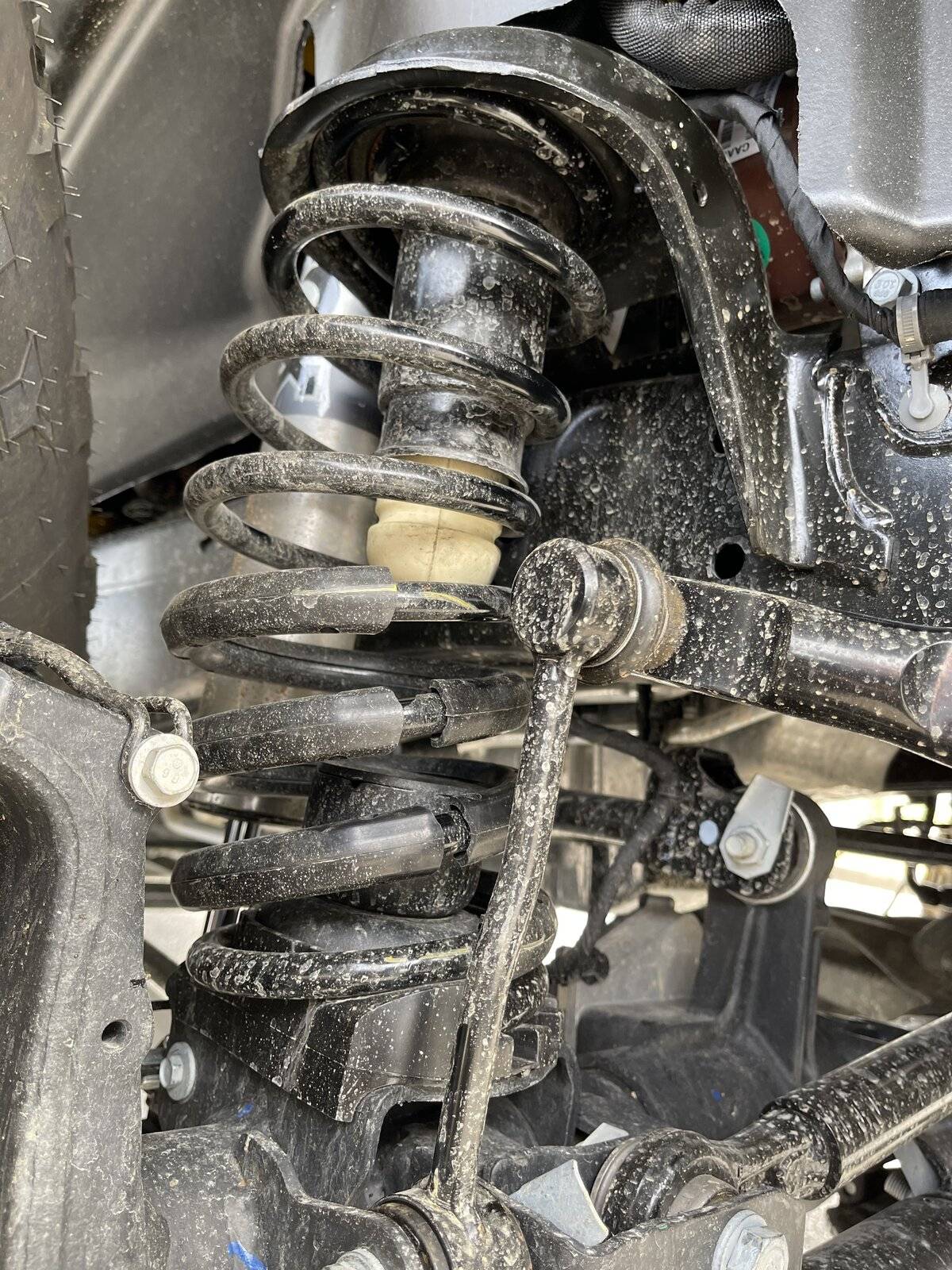 Jeep Wrangler JL Do you all have bow like this with level spacers? AF47DD68-CB61-49FD-8E24-1BAF69D8FDEC