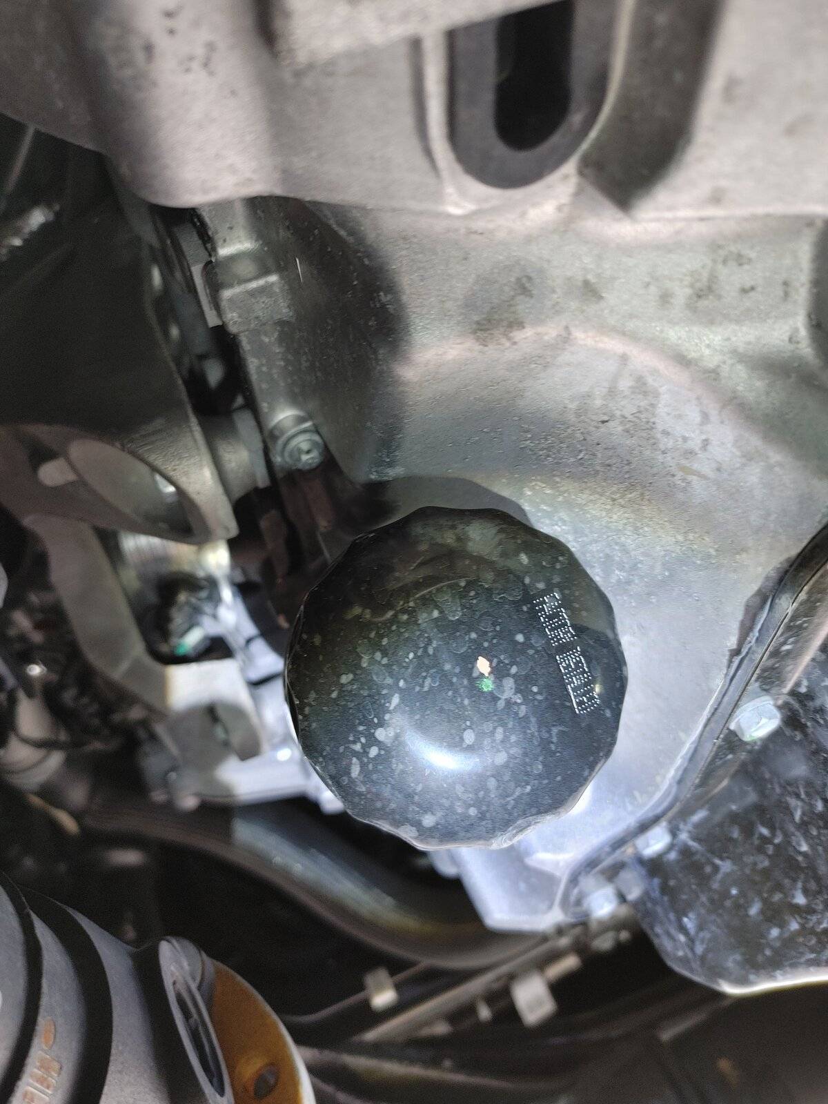 oil filter.jpg