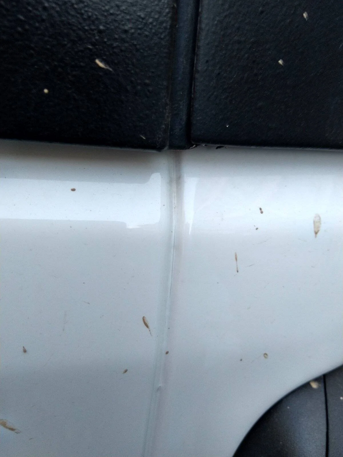 Jeep Wrangler JL Paint Crack 8EA8ACE6-1E53-4CF9-BF9E-415030501FE5