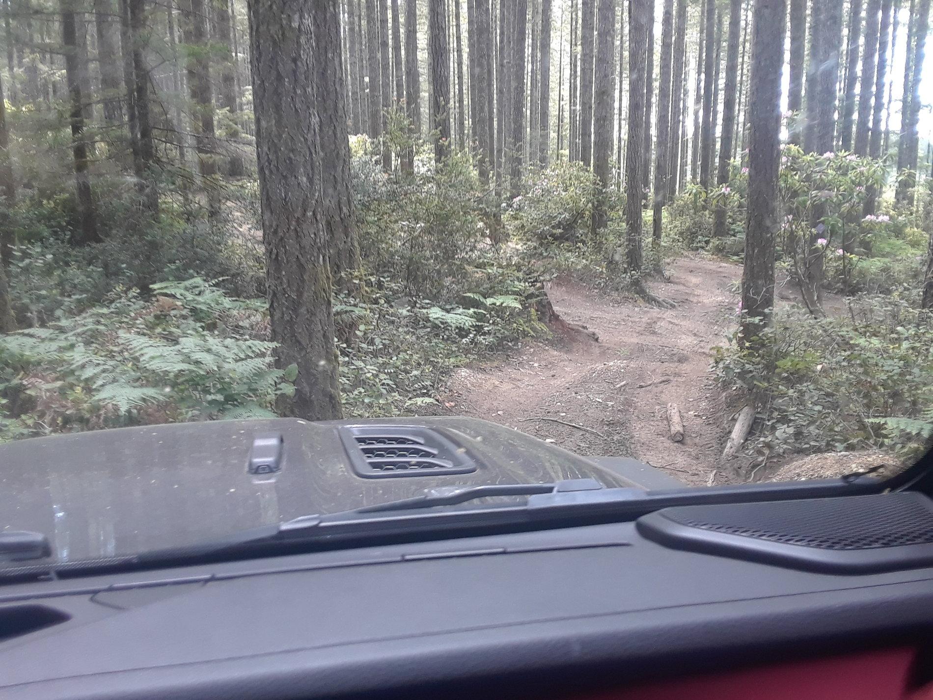 Jeep Wrangler JL Jeep humor waiting room ( ** NO POLITICS ** ) 20180519_130838