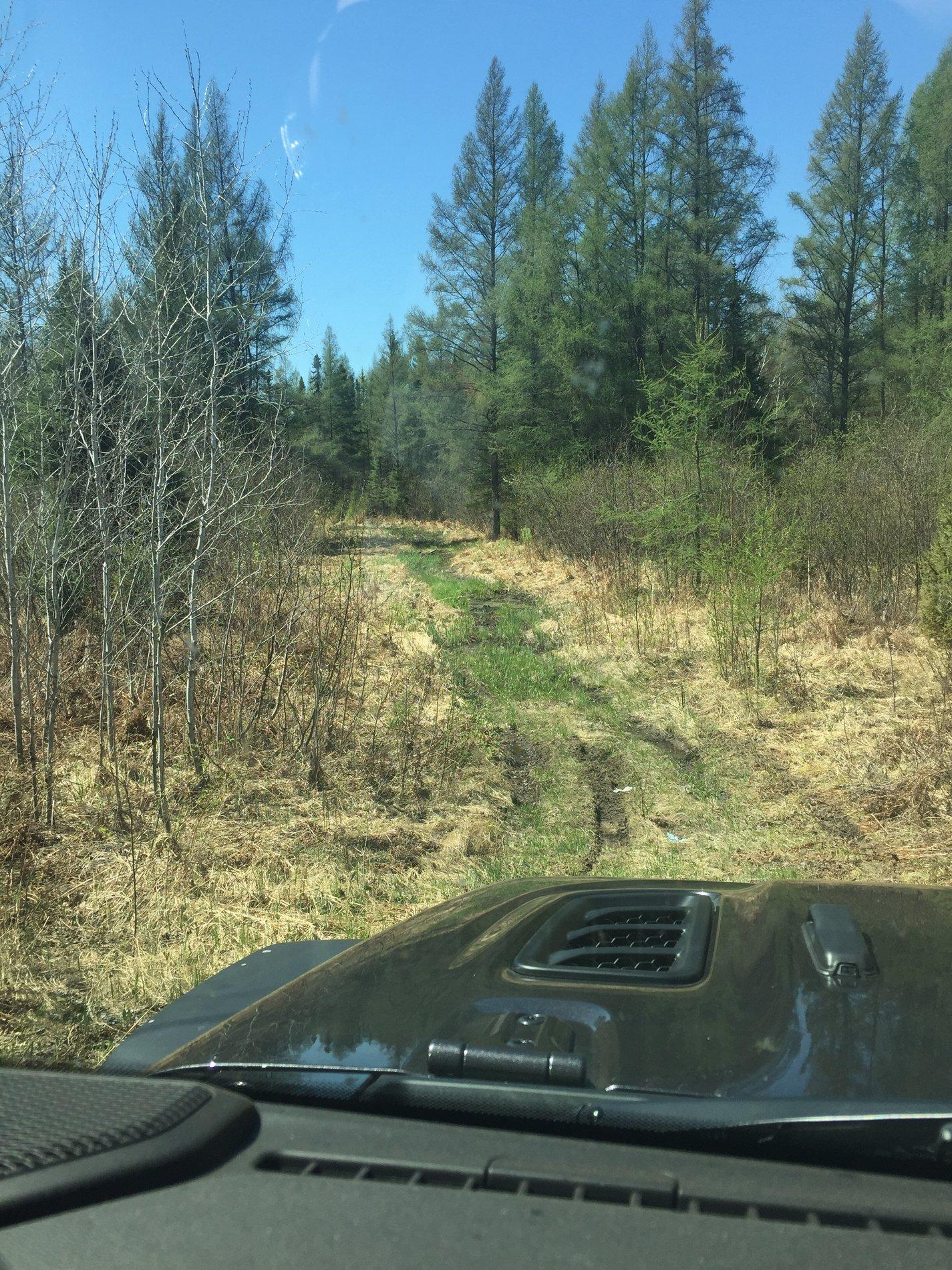 Jeep Wrangler JL Jeep humor waiting room ( ** NO POLITICS ** ) 47E22AAF-D4CD-40DB-AFD8-DAC0422C8A61