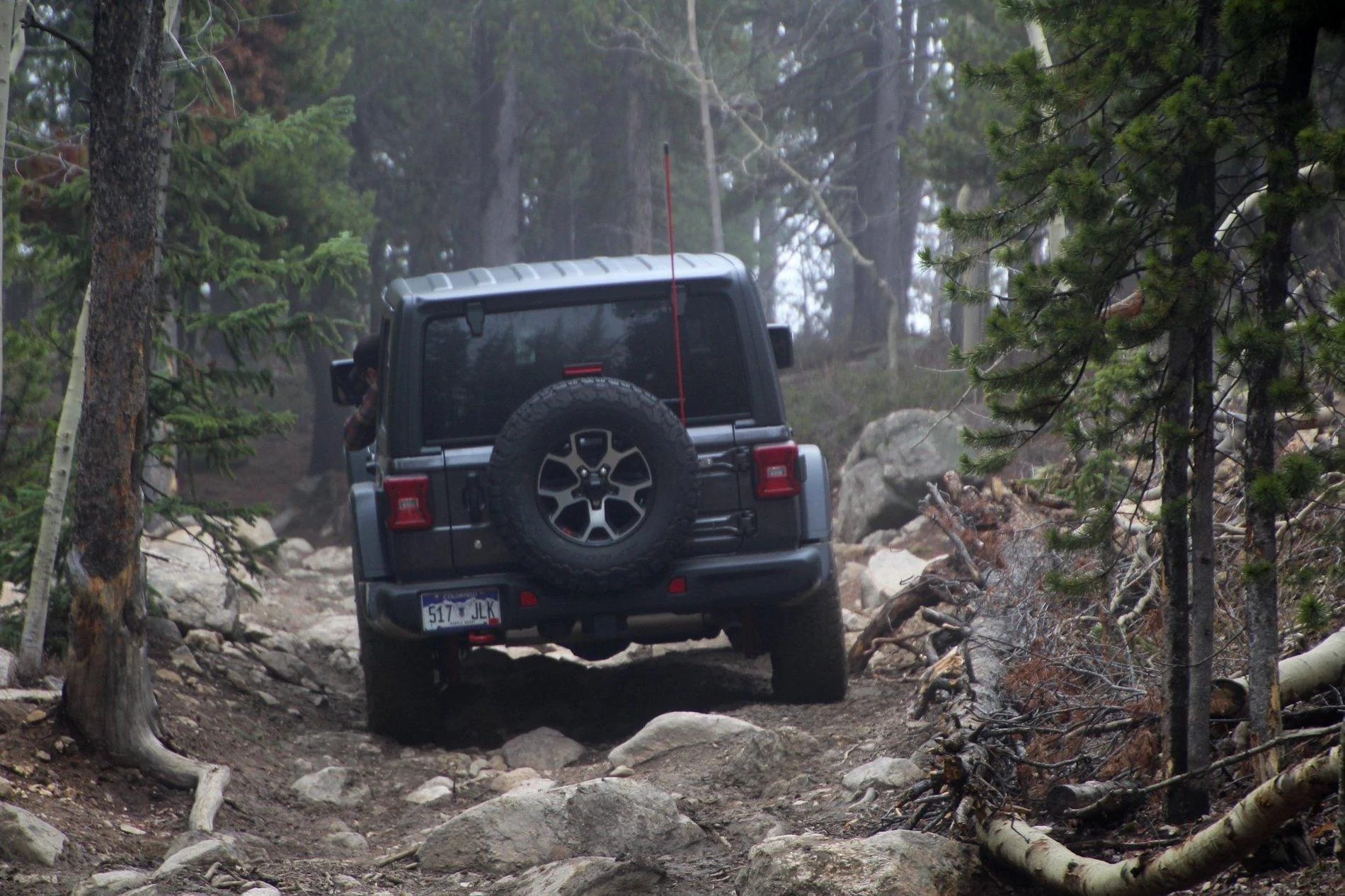 Jeep Wrangler JL Pepé the JLUR build! 2018-Current IMG_4246